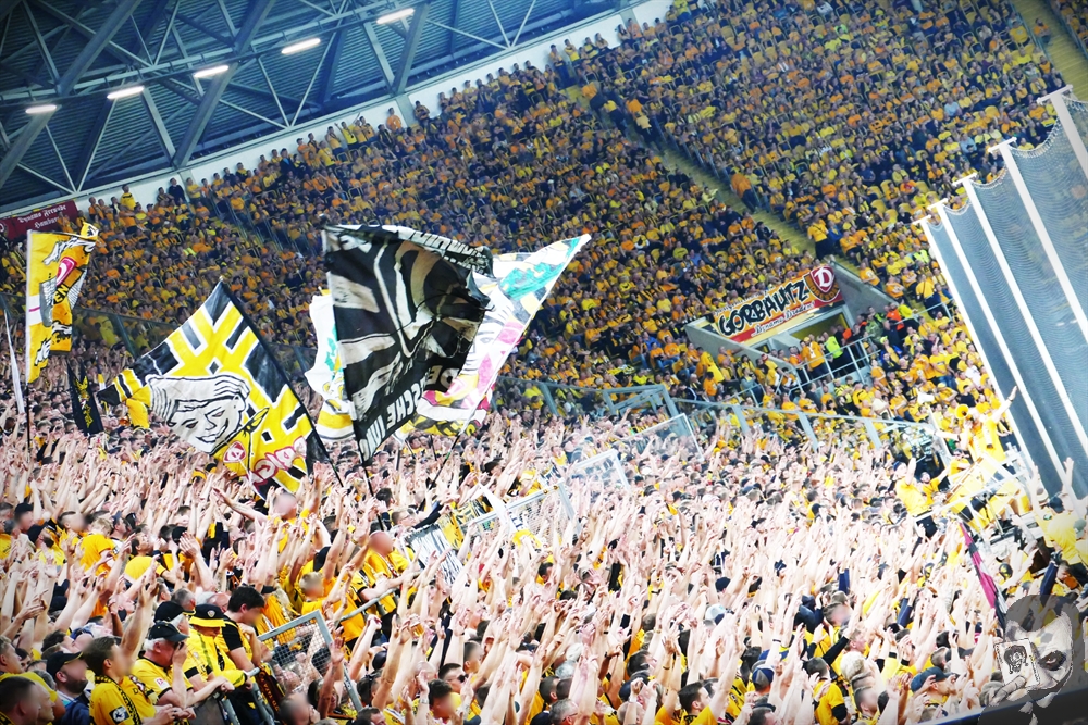 In Gelb gekleidete Dynamo Dresden-Fans im K-Block.