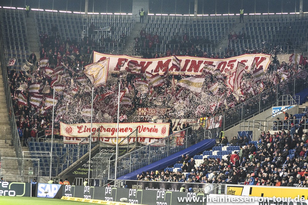 Mainz 05-Fans beim Auswärtsspiel in Sinsheim.