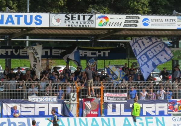 Ultras von Eintracht Trier hinter der Insane Ultra-Zaunfahne.