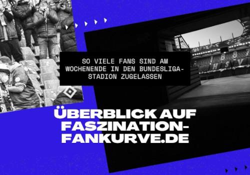 Grafik mit zwei schwarz/weiß-Fotos aus Hamburg. Dazu ein "Überblick auf Faszination-Fankurve.de-Schriftzug.