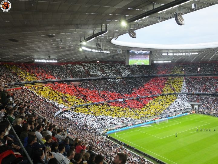 Fans der deutschen Nationalmannschaft (hier beim Spiel gegen England am 07.06.2022).
