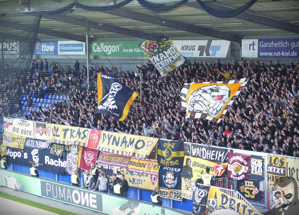 Dynamo Dresden-Fans am 12. Mai 2019 im Holstein-Stadion.